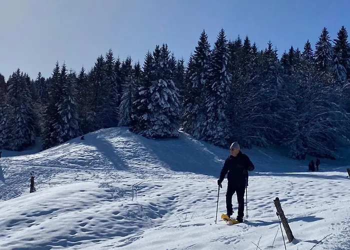 Spacieux Centre Aix Les Bains Lägenhet Aix-les-Bains