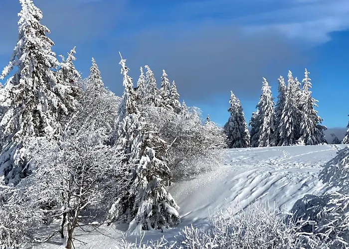 Spacieux Centre Aix Les Bains *