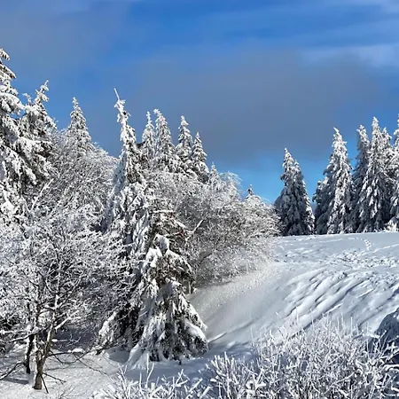 Spacieux Centre Aix Les Bains *